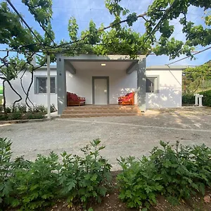 Gasthuis Progon House, Tepelene